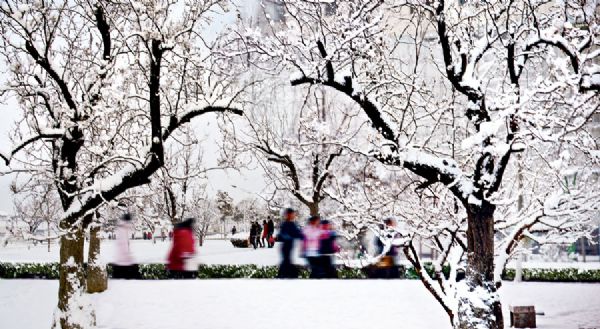 校园雪景-枣庄学院