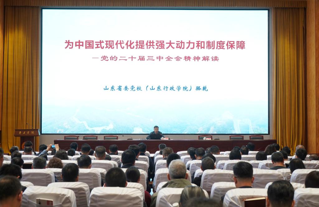 20250324党的二十届三中全会专家报告会-骆乾2.JPG
